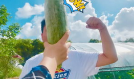 网红吃瓜爆料大全图片,揭秘娱乐圈幕后真相