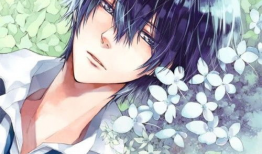 美男多的动漫,盘点那些让人心动的动漫世界